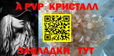 спиды Кингисепп